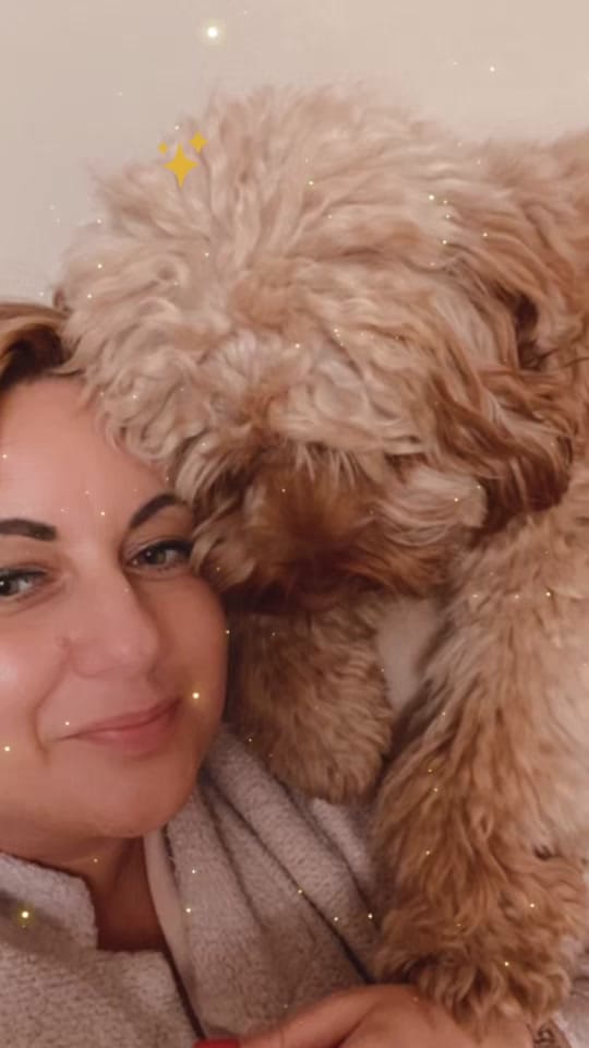 Post 10 by Textiles & Tiramisu 🍒 on TikTok (video)