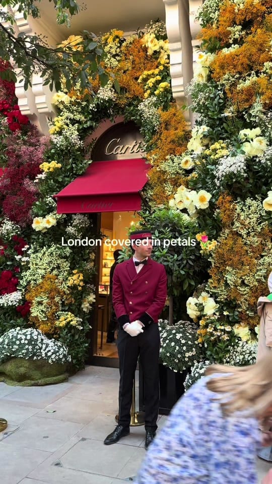 Post 6 by Emma Taylor on TikTok (video)