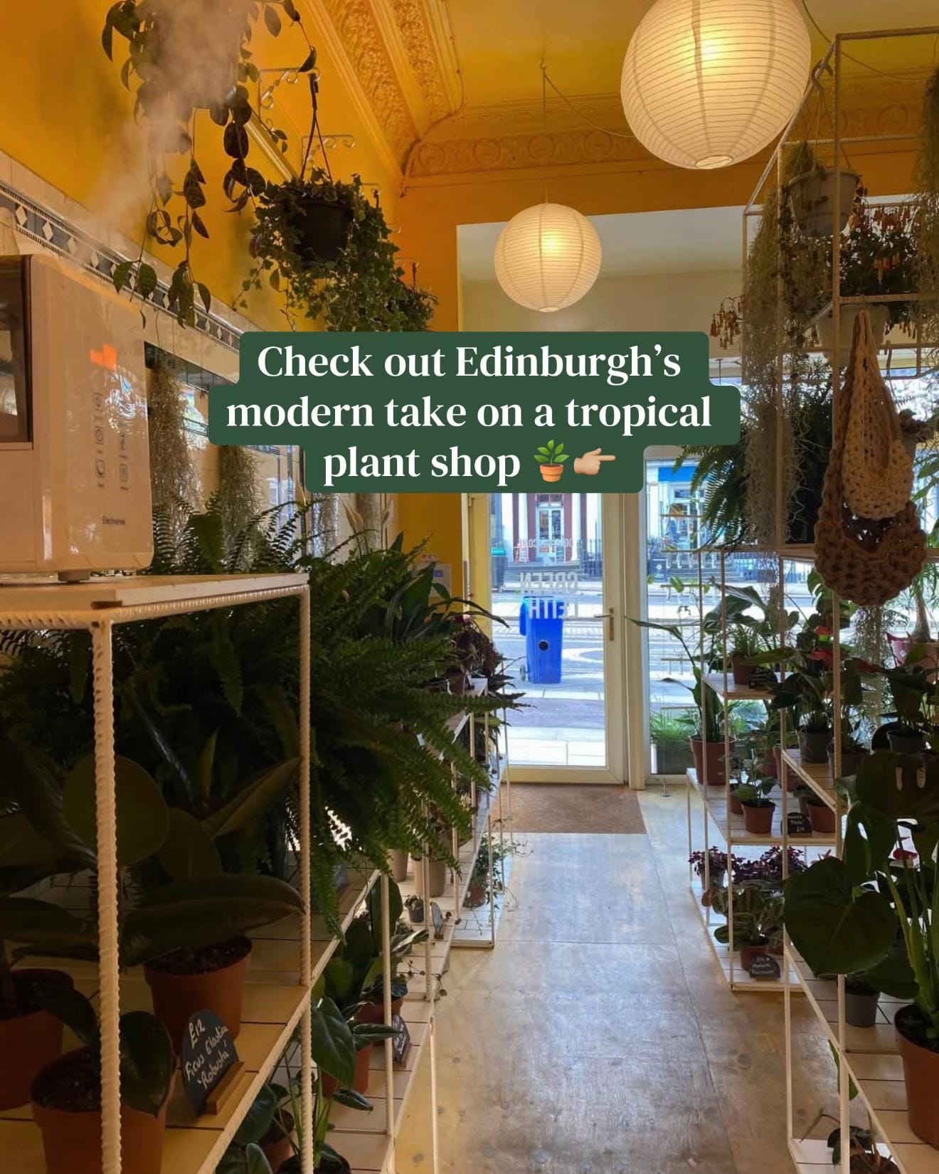 Post 5 by Edinburgh on TikTok (video)