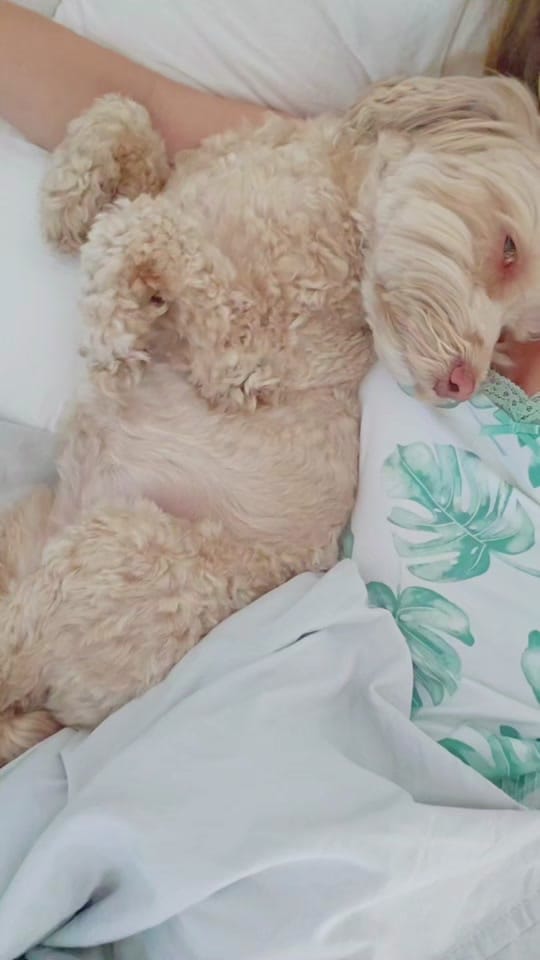 Post 2 by Sophie⚡️ on TikTok (video)