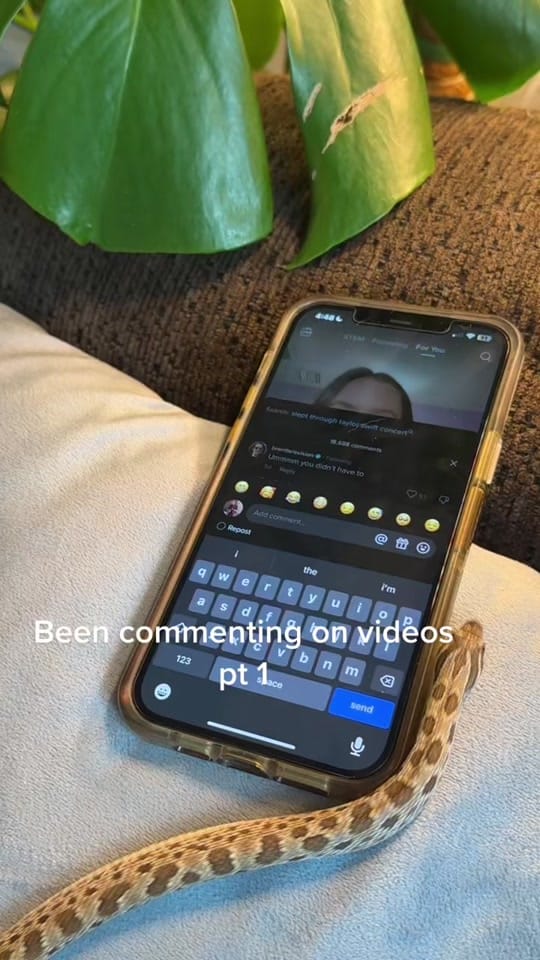 Post 9 by Chels on TikTok (video)