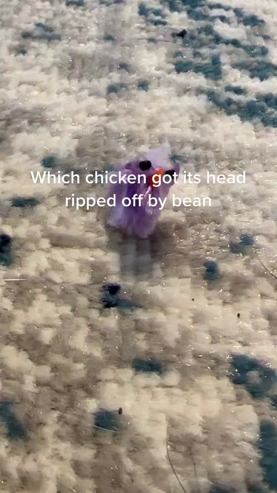 Post 8 by Chels on TikTok (video)