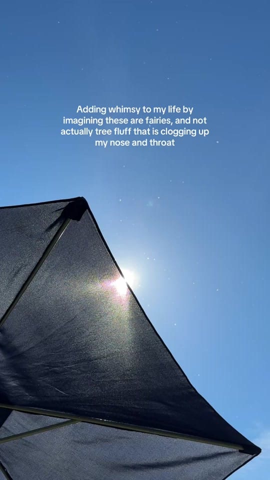 Post 5 by Kaye Fordtography on TikTok (video)