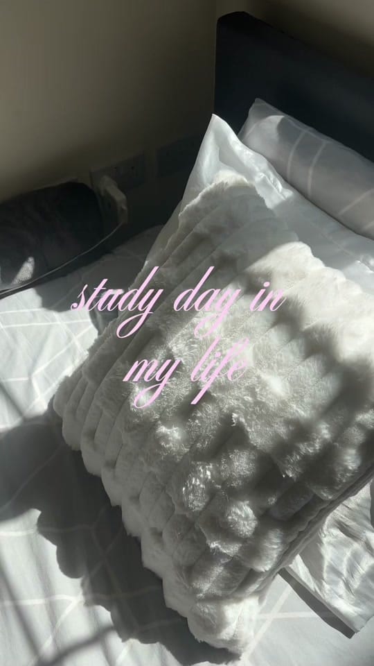 Post 4 by renée ꨄ on TikTok (video)