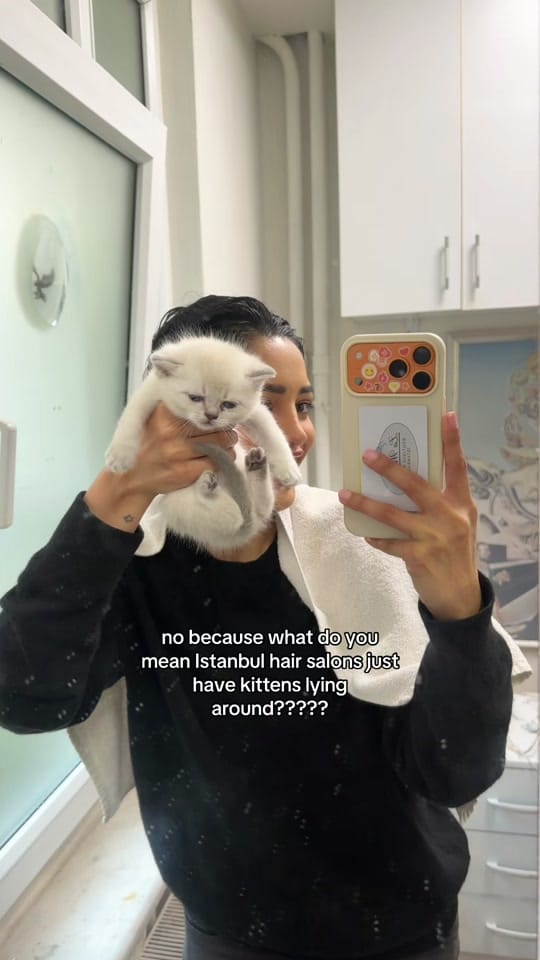 Post 9 by justsonia on TikTok (video)