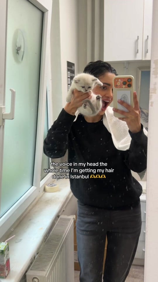 Post 8 by justsonia on TikTok (video)