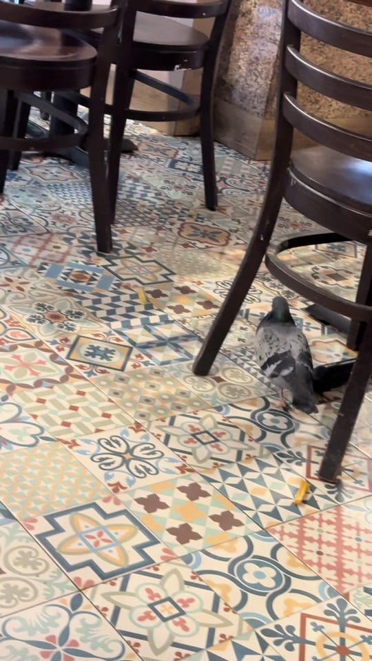 Post 1 by Eglė Varpiotienė on TikTok (video)