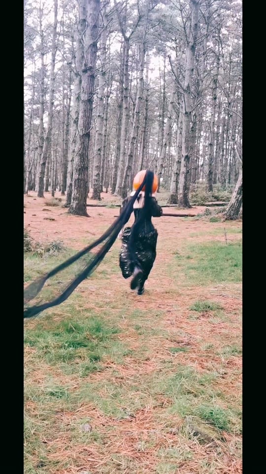 Post 10 by ☣️ToxicPixie☣️ on TikTok (video)