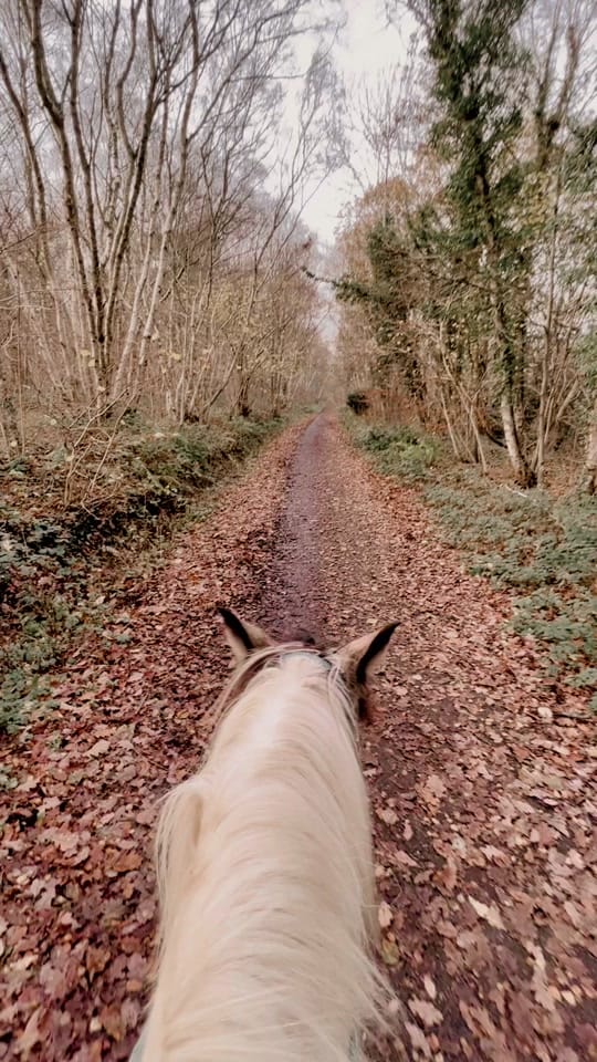 Post 7 by Stories from England on TikTok (video)