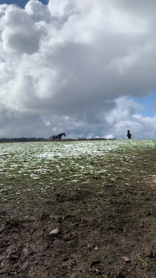 Post 3 by Stories from England on TikTok (video)