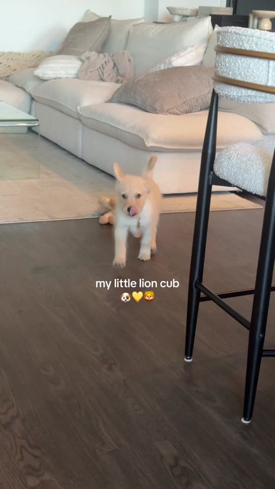 Post 7 by Chelsea | Content Creator  ◡̈ on TikTok (video)