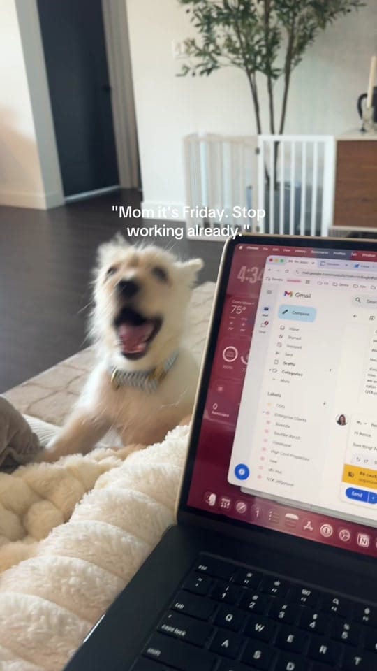 Post 3 by Chelsea | Content Creator  ◡̈ on TikTok (video)