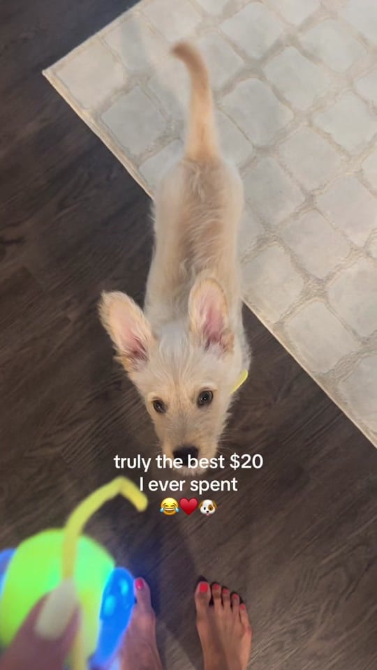Post 6 by Chelsea | Content Creator  ◡̈ on TikTok (video)