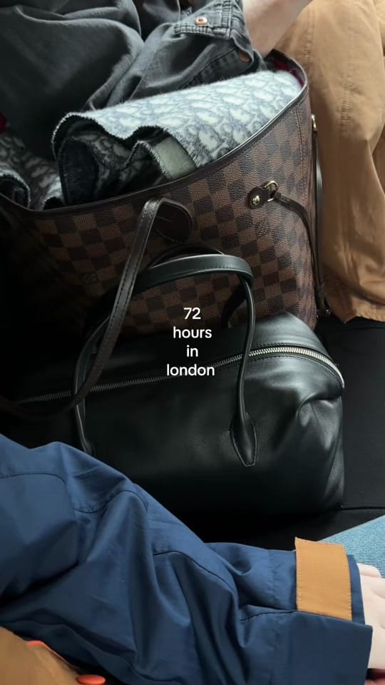 Post 5 by sophie rosam on TikTok (video)