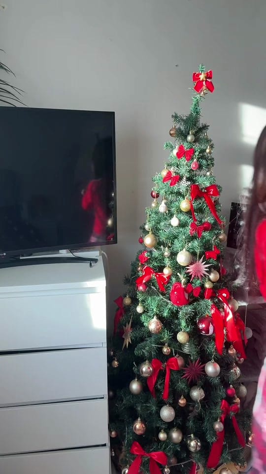 Post 5 by Julia.cristian on TikTok (video)