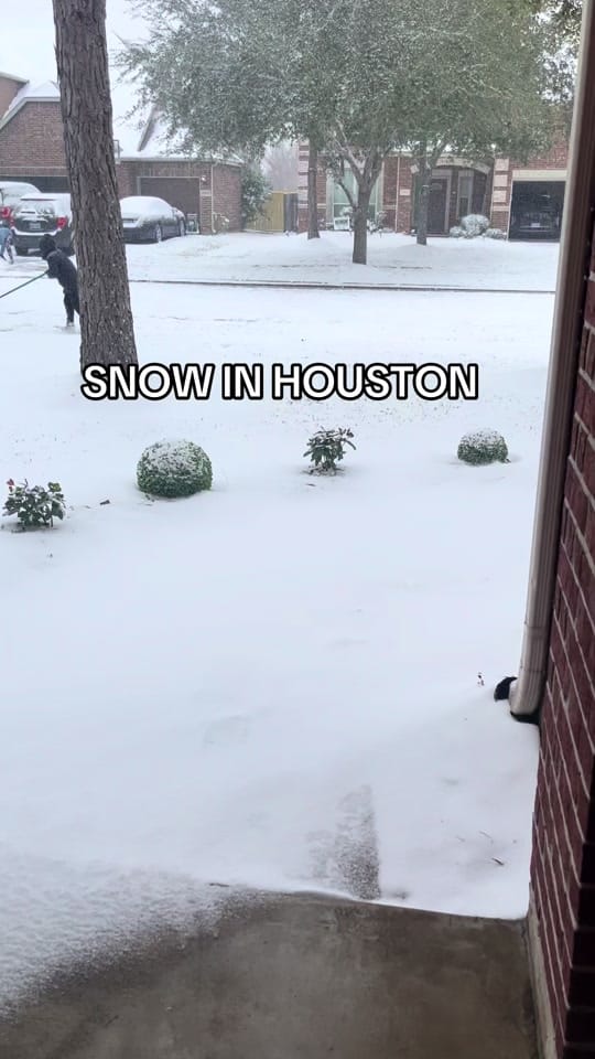 Post 4 by Chelsea Waddle on TikTok (video)