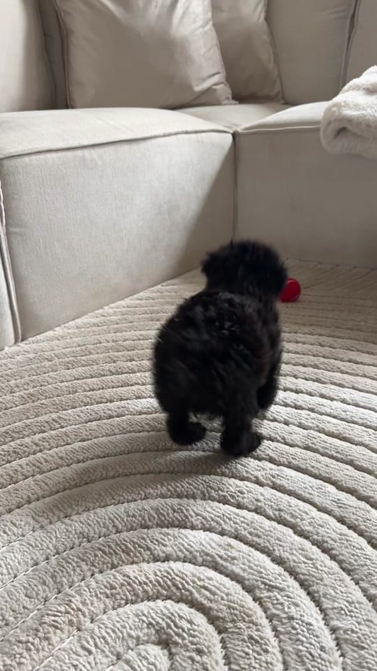 Post 7 by ashley.ambeautystudios on TikTok (video)