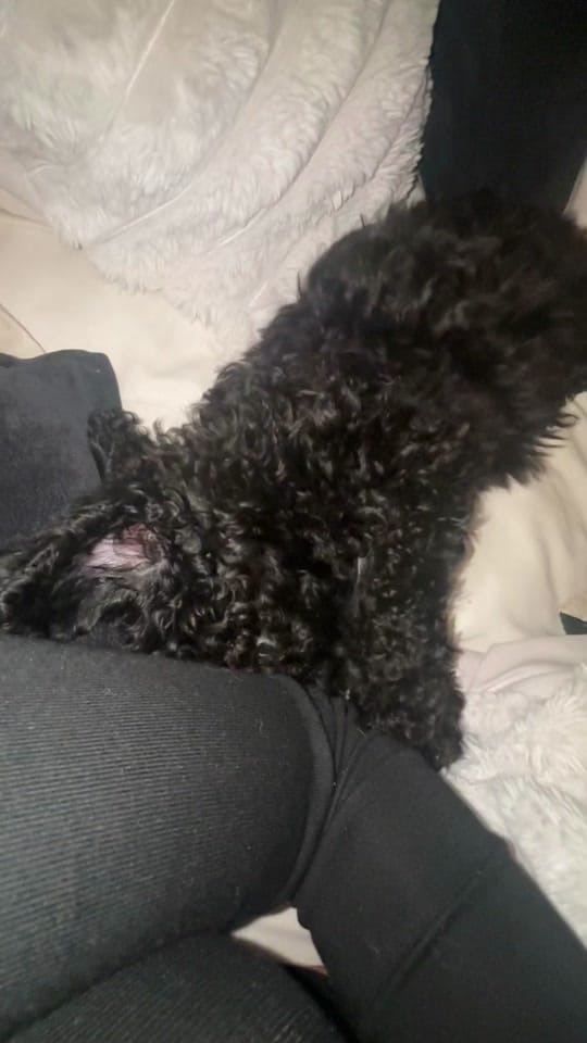 Post 2 by ashley.ambeautystudios on TikTok (video)
