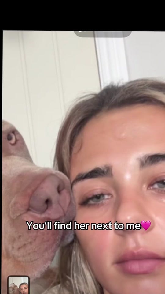 Post 2 by Jaden👸🏽 on TikTok (video)