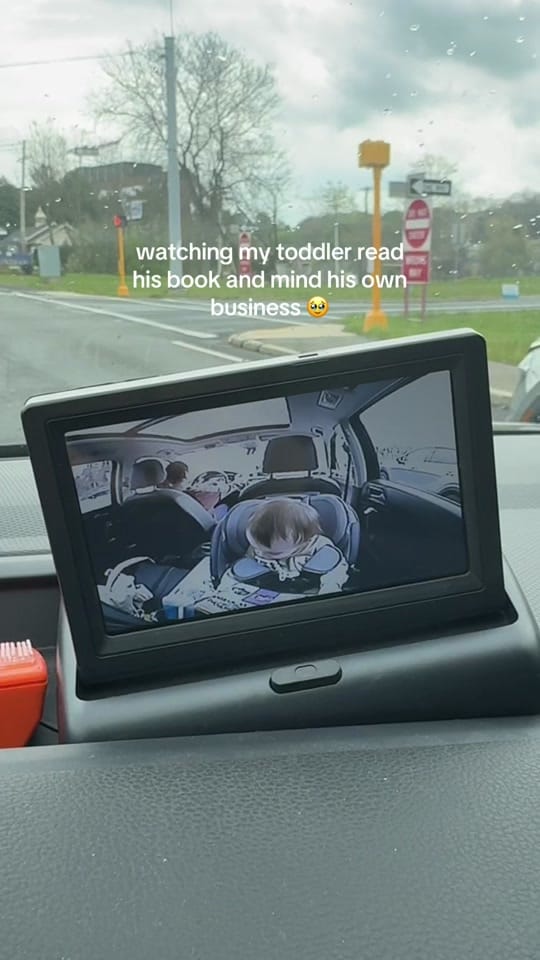 Post 2 by Taylor Magliano on TikTok (video)