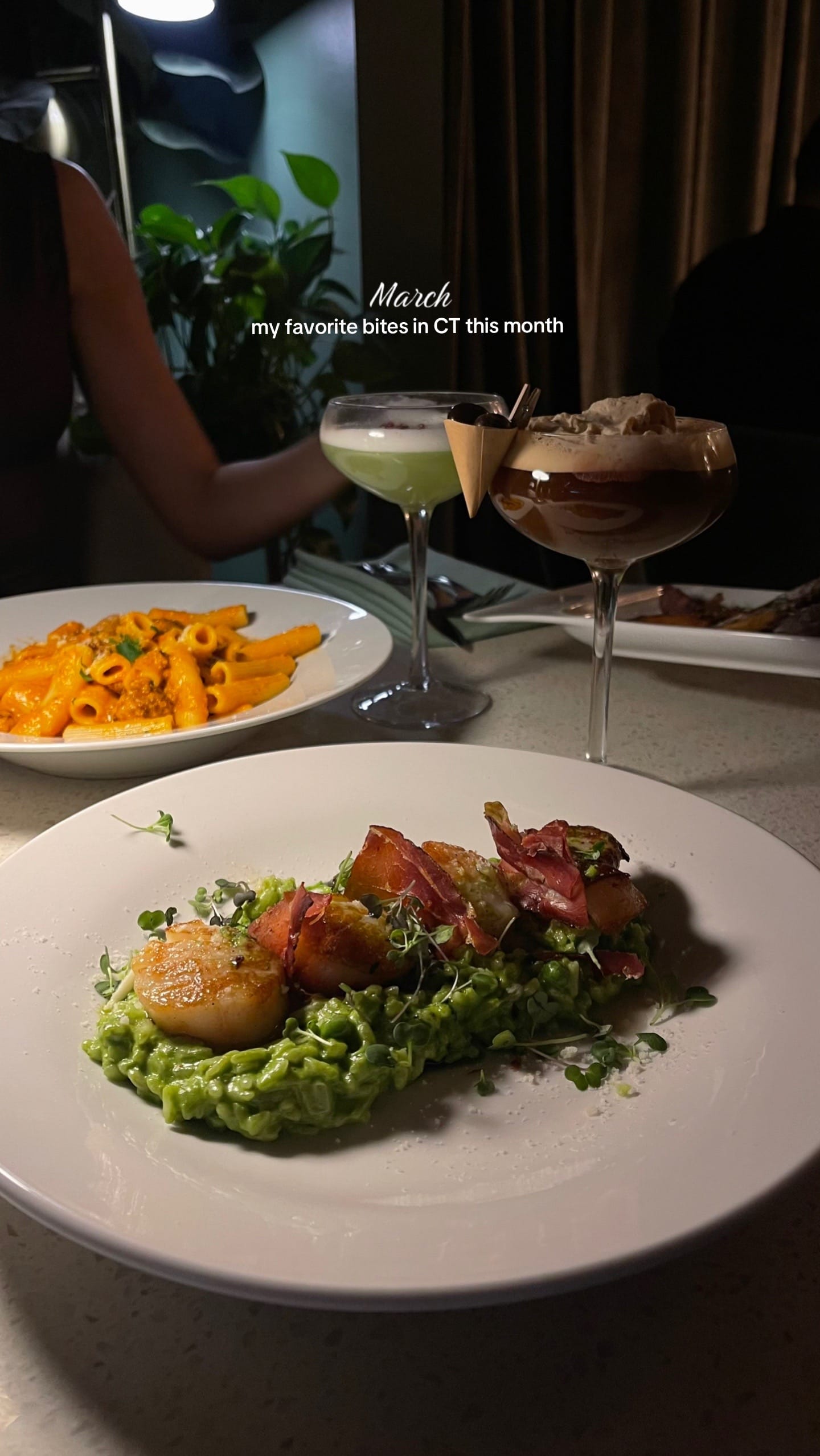 Post 8 by Lauren Tyler on TikTok (video)