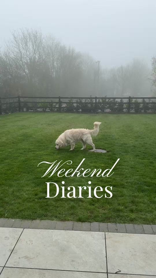 Post 7 by Beth on TikTok (video)