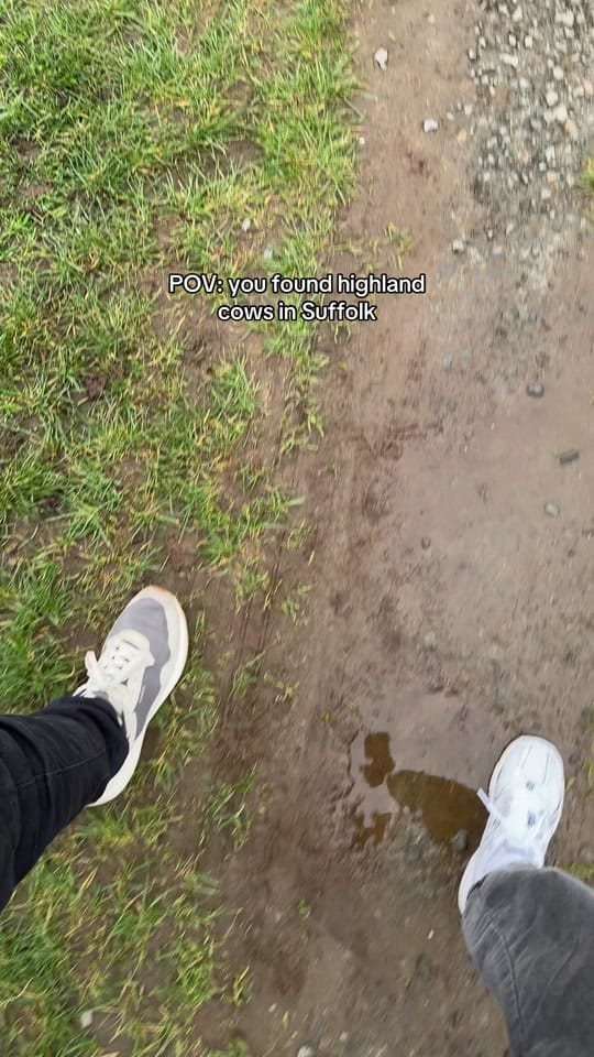 Post 4 by Shans On Life | UK UGC Creator on TikTok (video)