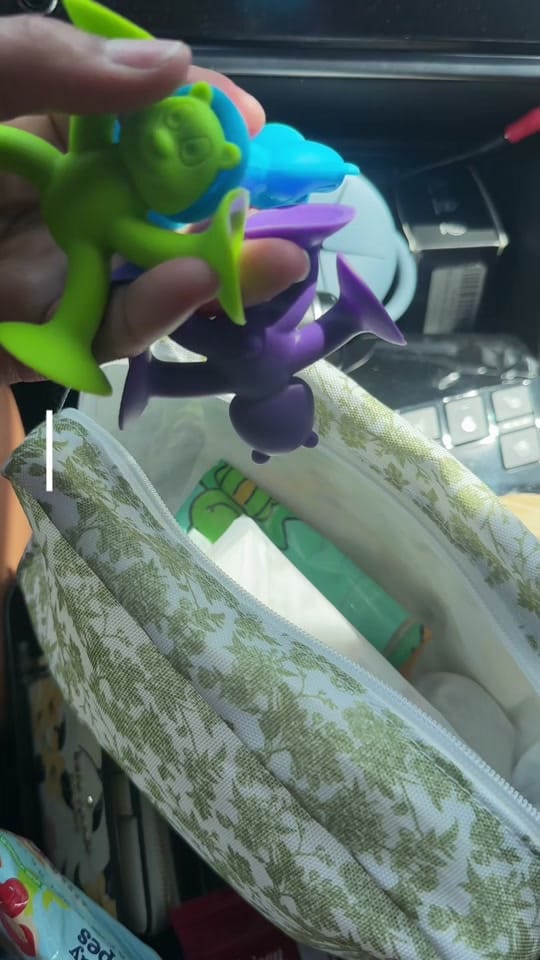 Post 9 by chels_momlife on TikTok (video)