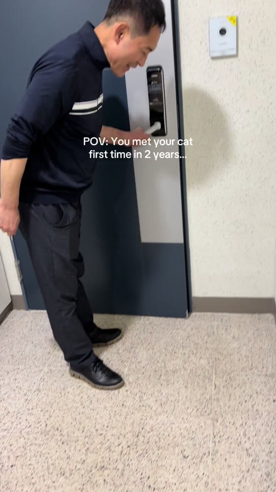 Post 8 by Mia on TikTok (video)