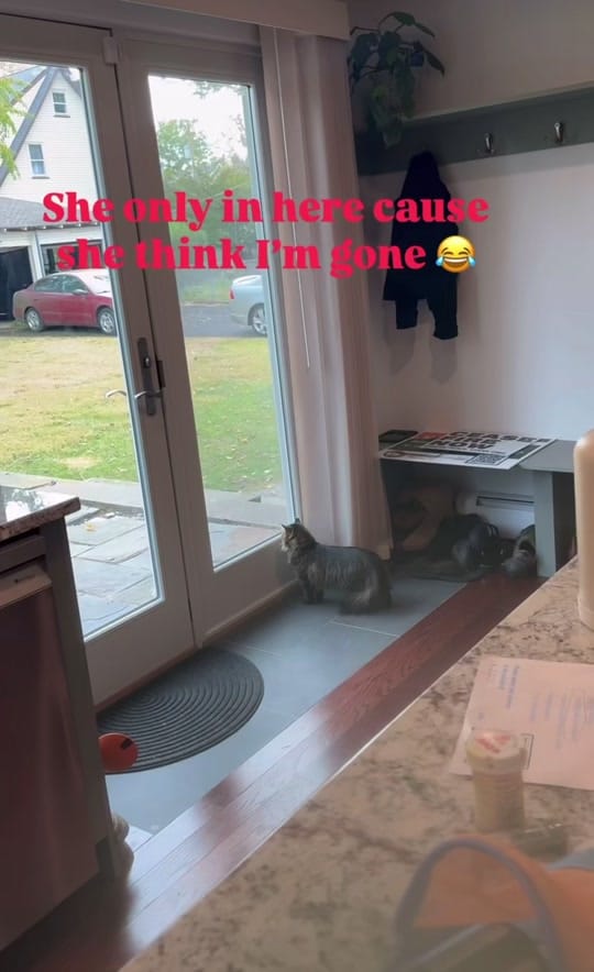 Post 5 by SolanaATE🇬🇧 on TikTok (video)