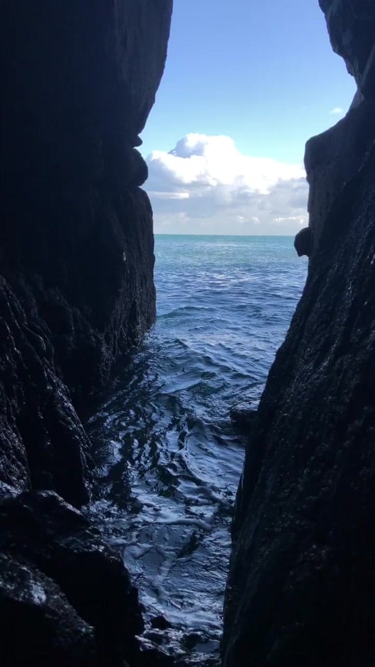 Post 7 by Rhys on TikTok (video)