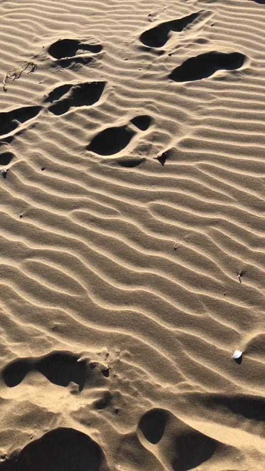 Post 4 by Rhys on TikTok (video)
