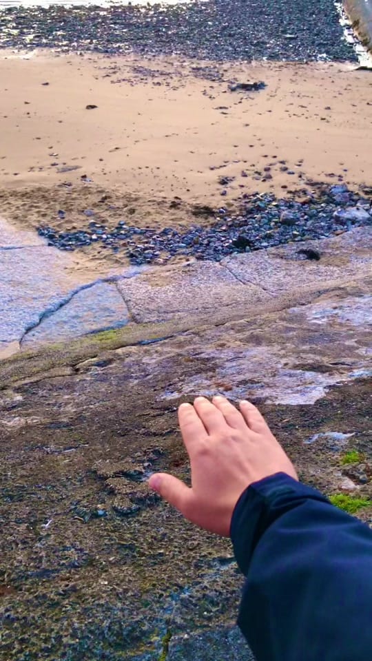 Post 2 by Rhys on TikTok (video)