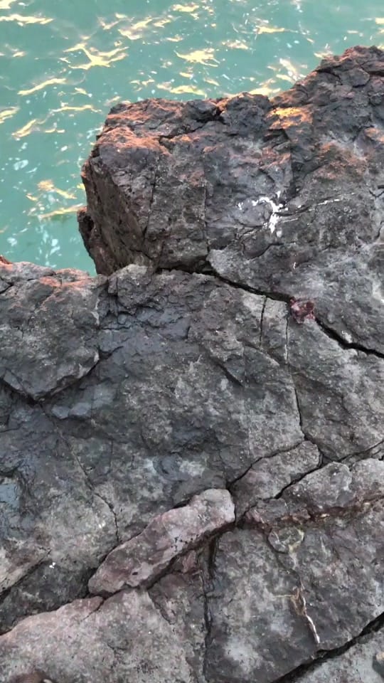 Post 3 by Rhys on TikTok (video)