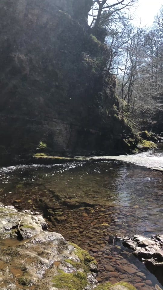 Post 6 by Rhys on TikTok (video)