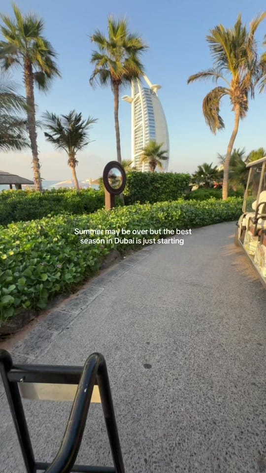 Post 10 by SC on TikTok (video)