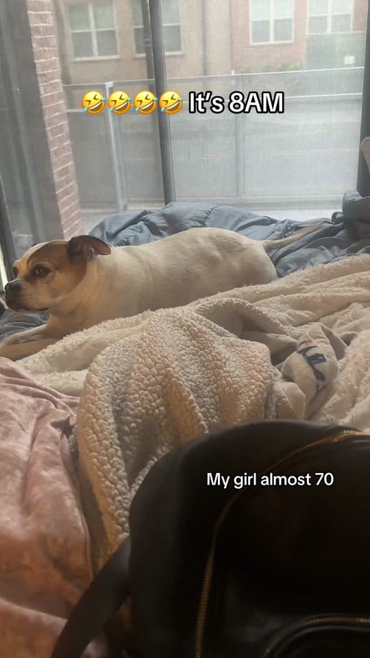 Post 3 by 22juicyfruitvaughn on TikTok (video)