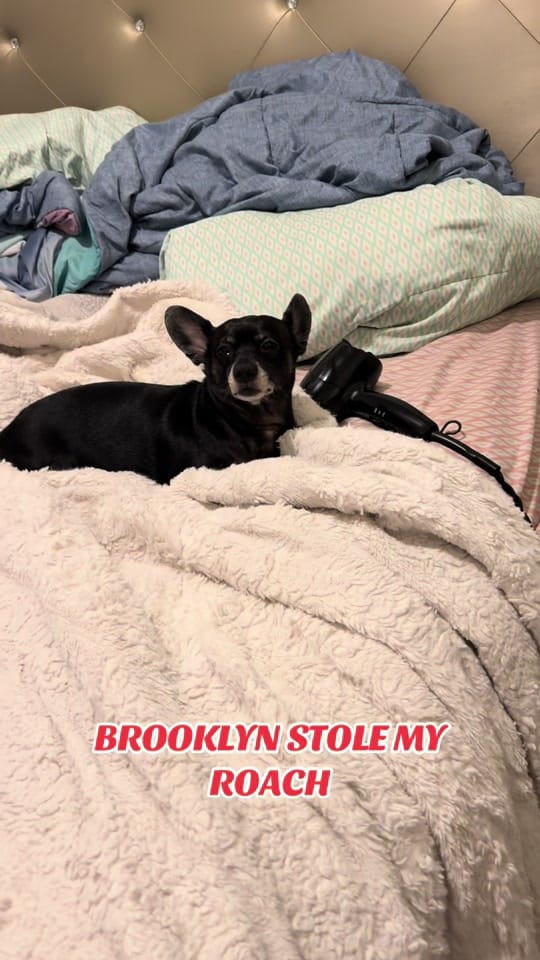 Post 6 by 22juicyfruitvaughn on TikTok (video)