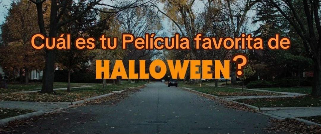 Post 4 by Cempasúchil🧡 on TikTok (video)