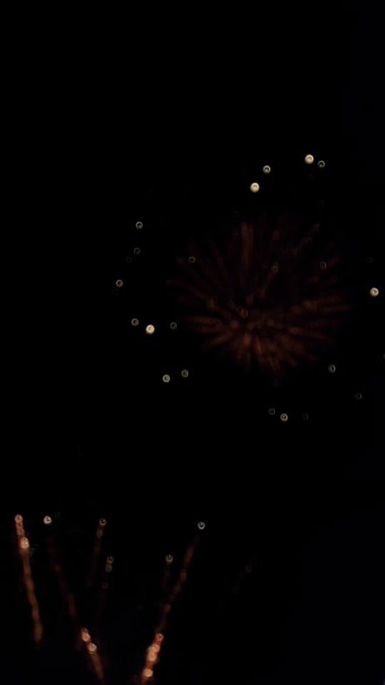 Post 8 by Cempasúchil🧡 on TikTok (video)