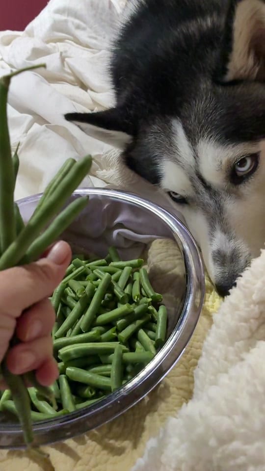 Post 8 by J-U-D-Y 🌶 on TikTok (video)