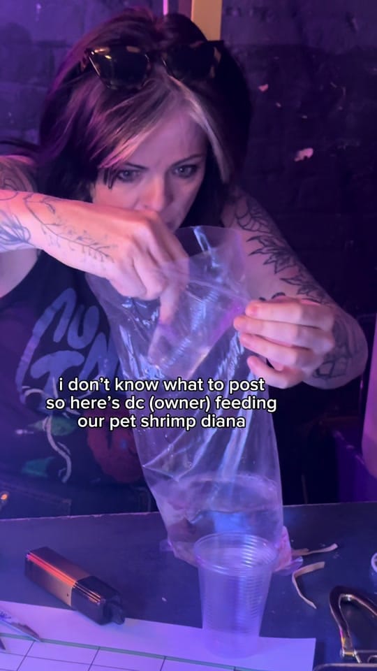 Post 2 by shallows.studio on TikTok (video)