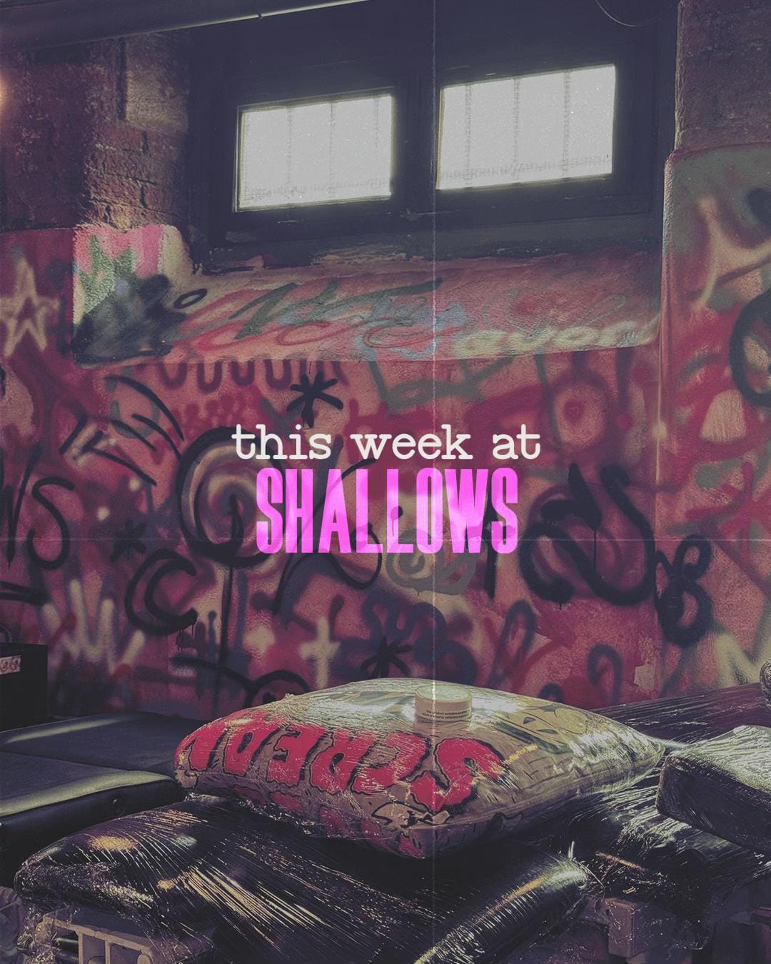 Post 5 by shallows.studio on TikTok (video)