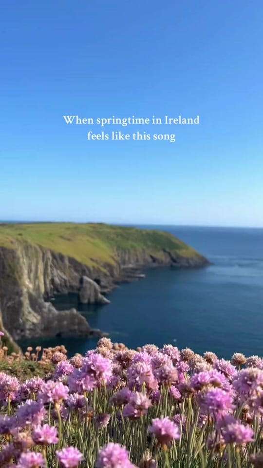 Post 6 by Ireland on TikTok (video)