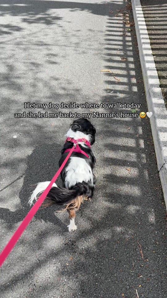 Post 2 by Abi Markey on TikTok (video)