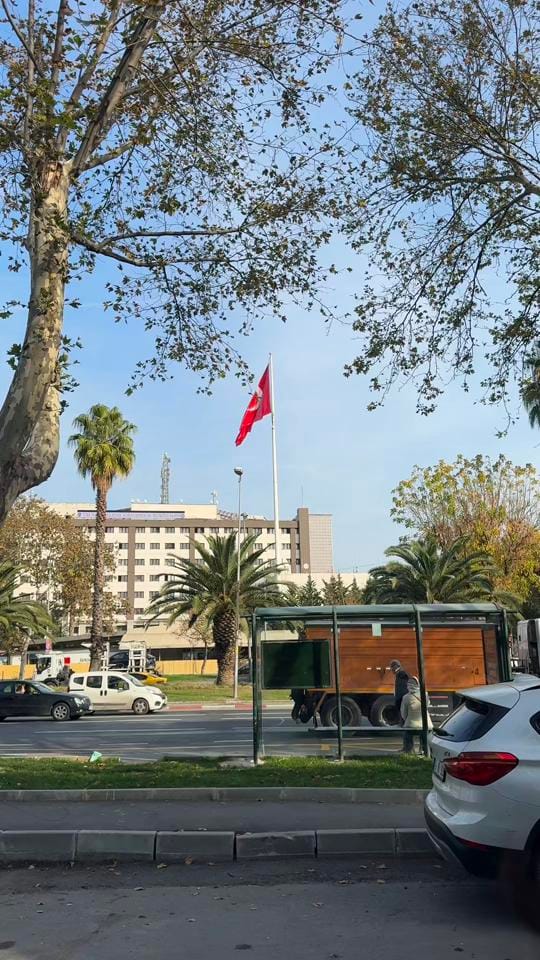 Post 3 by jocelyn.mathew on TikTok (video)