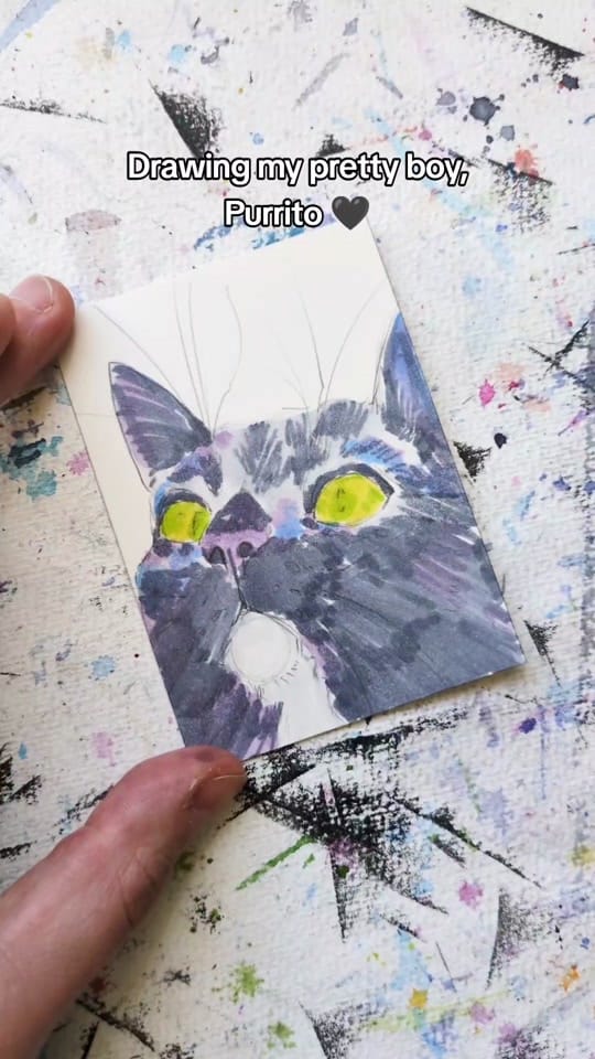 Post 1 by Tessa / tkeh | illustrator on TikTok (video)
