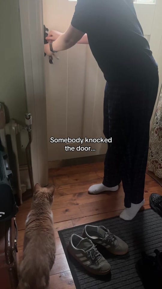 Post 3 by Helen Martyniuk on TikTok (video)