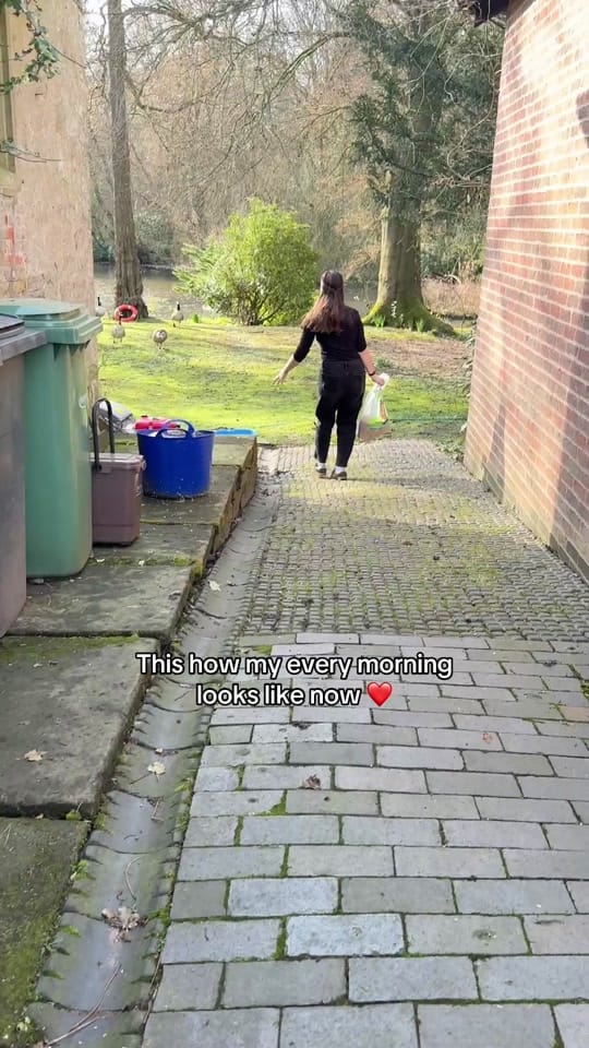 Post 1 by Helen Martyniuk on TikTok (video)