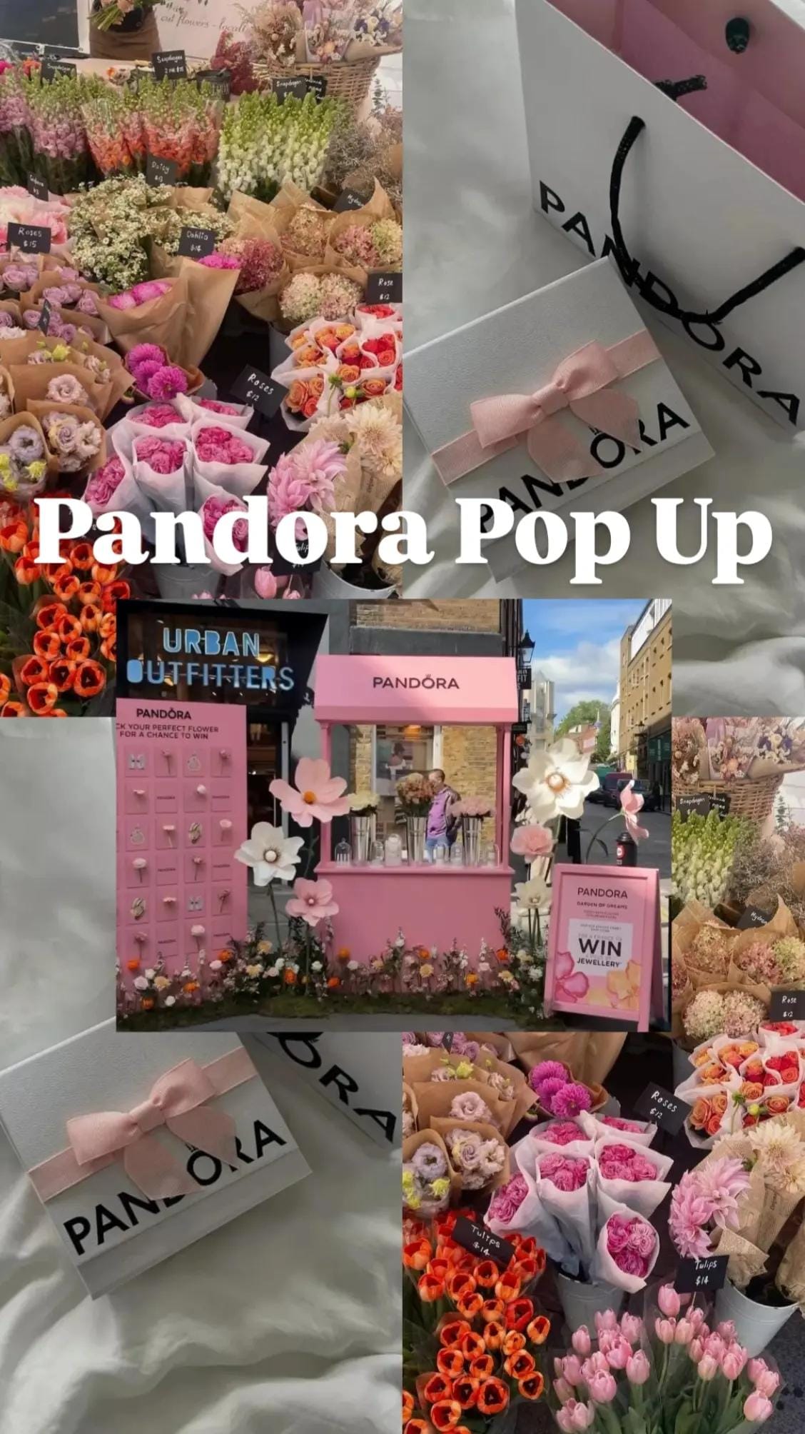 Post 4 by Ariana Korni 💜 on TikTok (video)